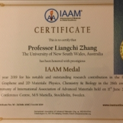 Certificate_IAAM2019_index
